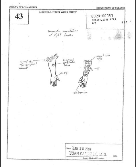 File : Gianna Bryants autopsy report (2020).pdf